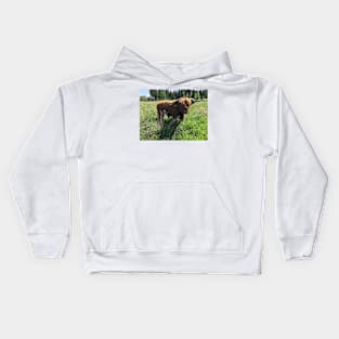 Scottish Highland Cattle Bull 2414 Kids Hoodie